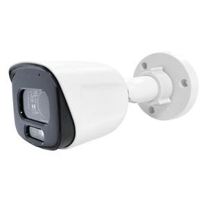 IP камера видеонаблюдения Tels IP-BM430FSAP-IR